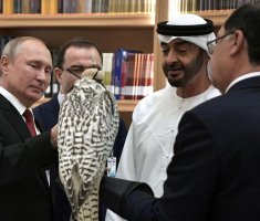 Путин подарил наследному принцу Абу-Даби редкого белого кречета