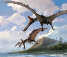 «Железный дракон»: в Австралии нашли новый вид птерозавра