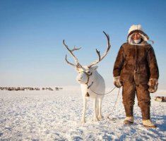 Опыт якутских оленеводов оценили на международном уровне