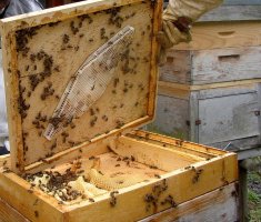 Параметры устройства пчелиного улья
