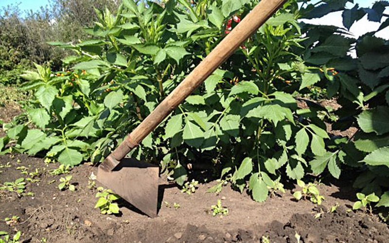 Суглинистая и глинистая почва: как улучшить свойства, качество и плодородие тяжелой почвы на участке