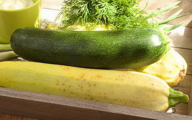 Как лучше сохранить овощи: закладка на хранение тыкв, кабачков и сельдерея фото