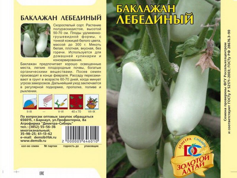 Баклажаны: фото и описание сортов, уход и выращивание - Бабушкина дача