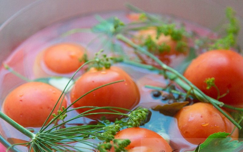 Быстрые рецепты приготовления малосольных помидоров: рецепты с фото