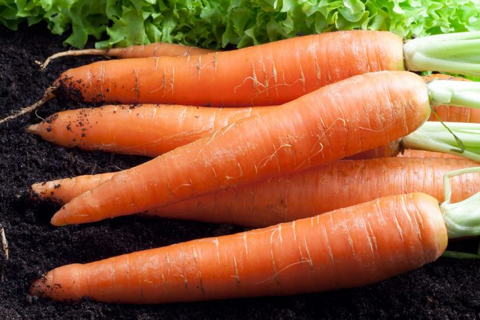 Морковь «Карамелька»