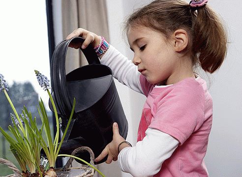 ребенок выращивает овощи в саду