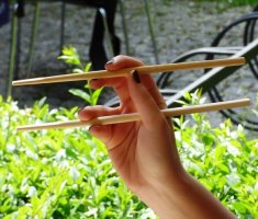 Не выбрасываем одноразовые палочки для суши: 7 способов применения на даче