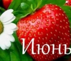 Календарь огородника на июнь 2017 года: работы в саду