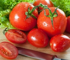 Когда сажать помидоры в марте 2019 года: благоприятные и запрещённые дни