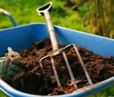 Как улучшить почву на своём огороде?