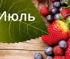 Календарь садовода на июль 2017 года: работа на участке
