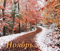 Календарь огородника на ноябрь 2017 года: сезонные работы в саду