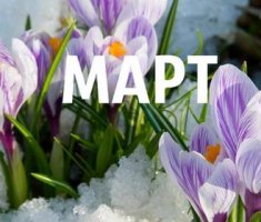 Календарь садовода-огородника на март 2017 года: что делать в саду
