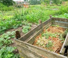 5 ошибок во время заготовки компоста, которые портят удобрение