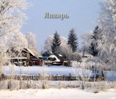 Календарь огородника на январь 2017 года: работы в саду