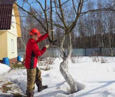 Как с пользой провести время на даче зимой – 6 идей