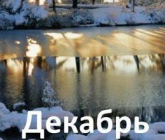Календарь садовода на декабрь 2017 года: что делать на даче