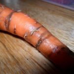 Болезни и вредители моркови и борьба с ними