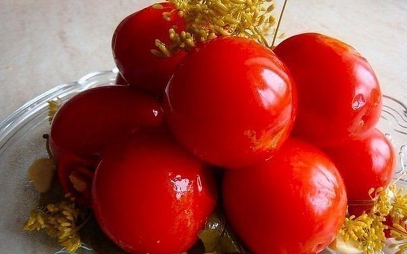 Быстрые рецепты приготовления малосольных помидоров: рецепты с фото фото