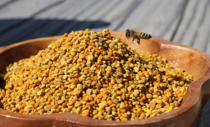 Пчелиная пыльца показания и противопоказания thumbnail