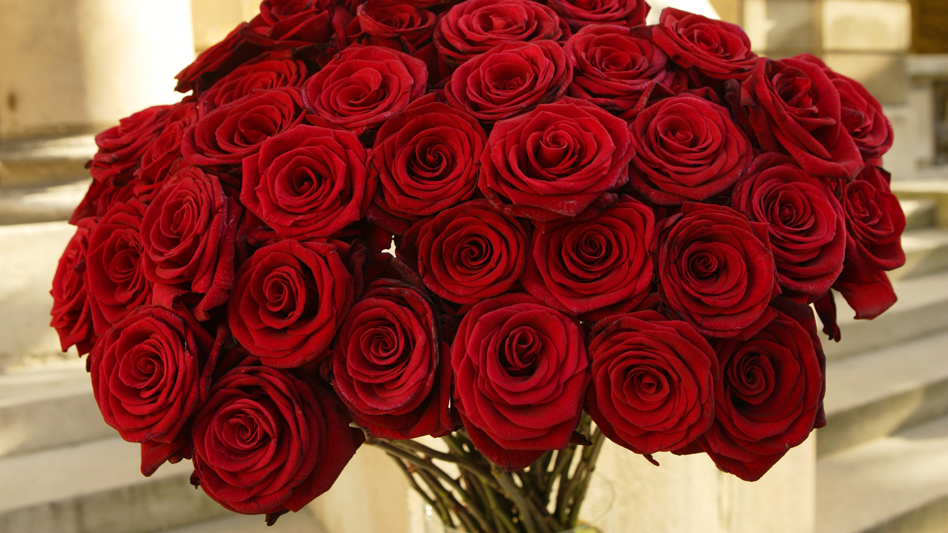 Красные розы — символ страсти