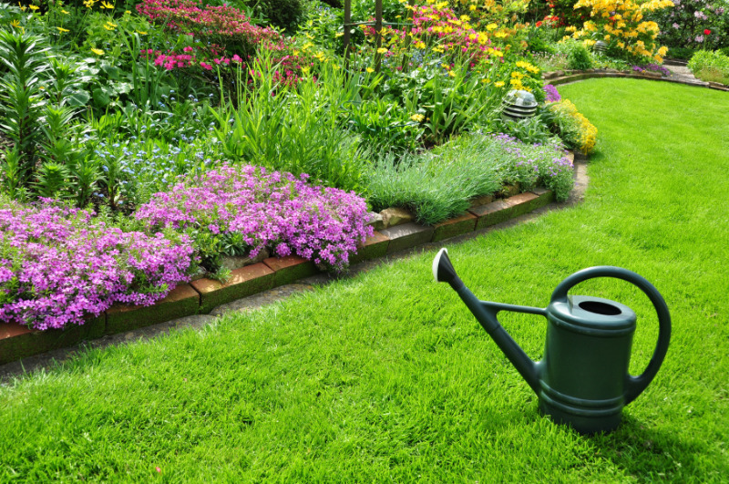 8 вещей, которые должны быть на даче ленивого садовода