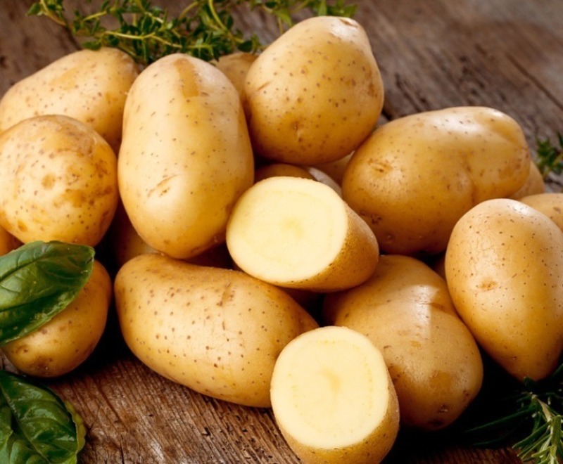 6 советов по выращиванию картофеля, которые помогут собрать ведро корнеплодов с куста